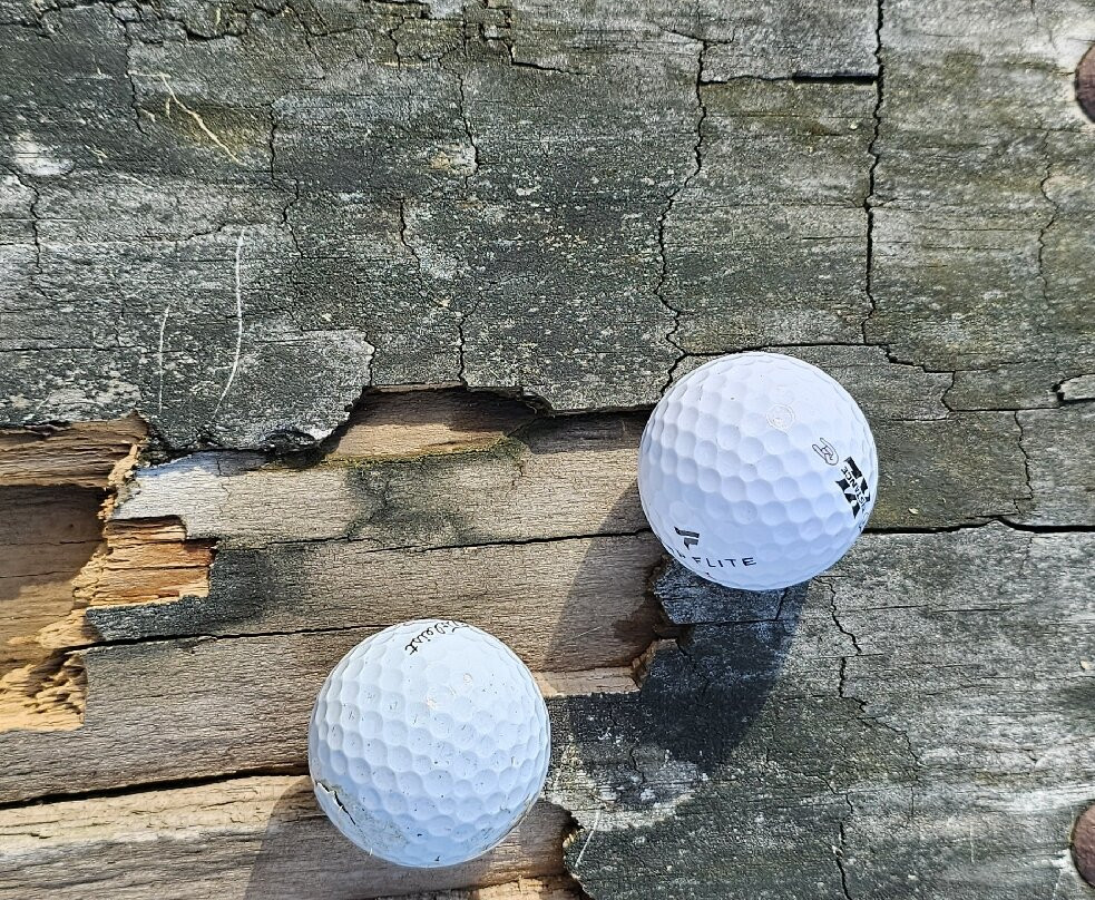 Rocky Point Golf Course-Essex必去景点