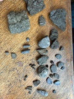 Lyme Regis Philpot Museum-莱姆里杰斯必去景点