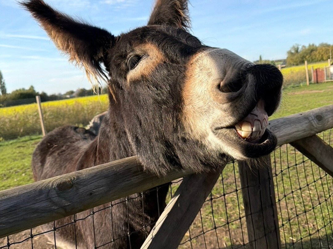Milestone Ranch Country Park-唐克斯特必去景点