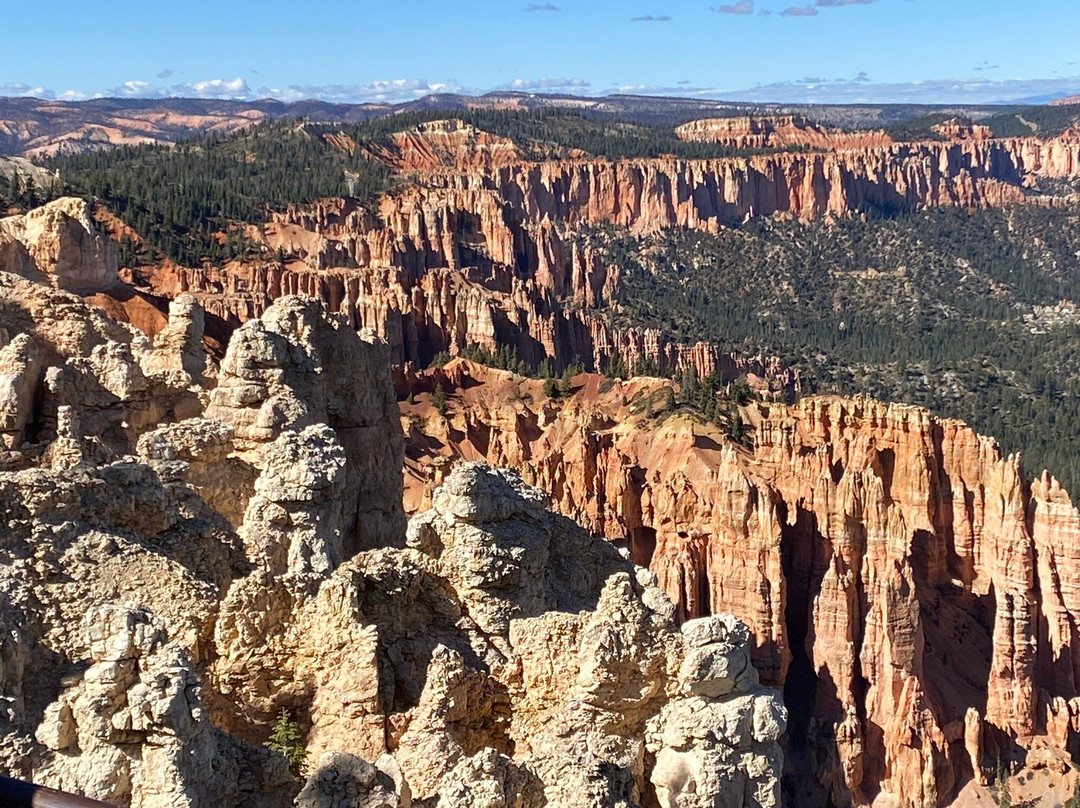 紫鼠尾草汽车旅馆主图