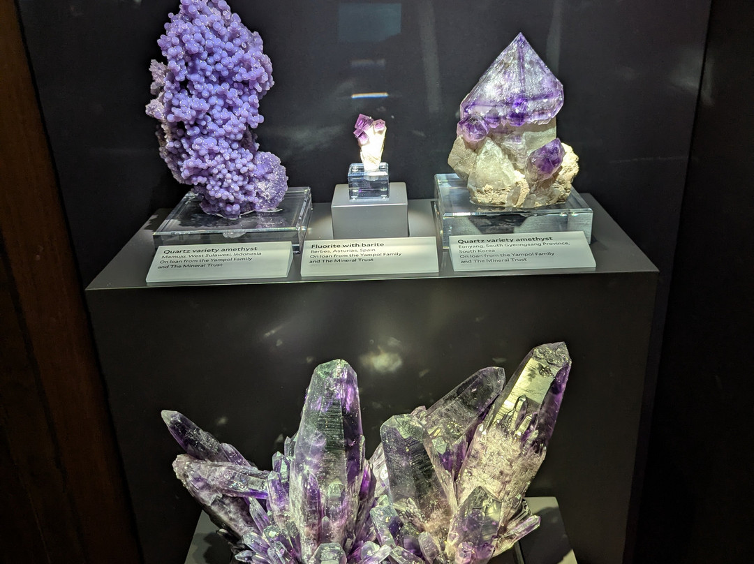 耶鲁大学皮博迪自然史博物馆-纽黑文必去景点