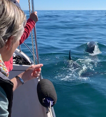 Culatratours-奥良必去景点