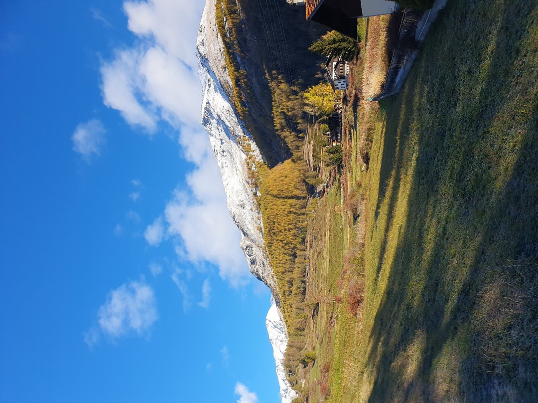 Hotel Belvedere主图