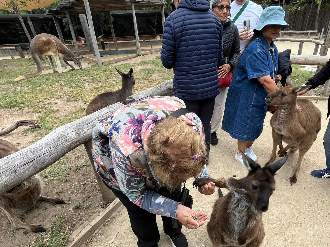 Sydney Zoo-布莱克敦必去景点