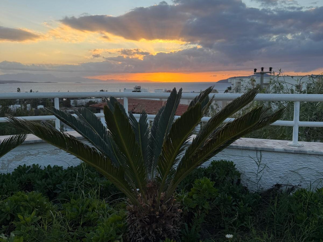 Roseira Beach Resort主图