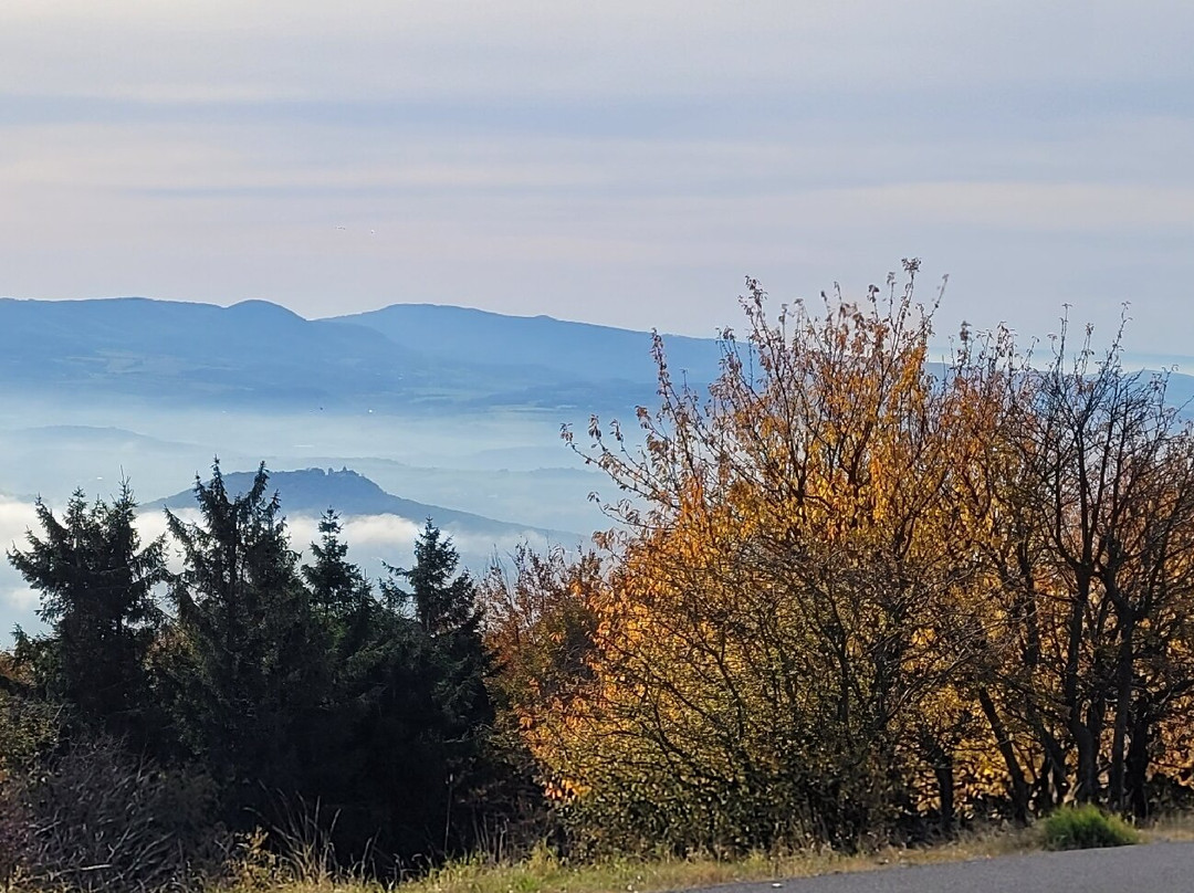 Hotel Zum Baren主图
