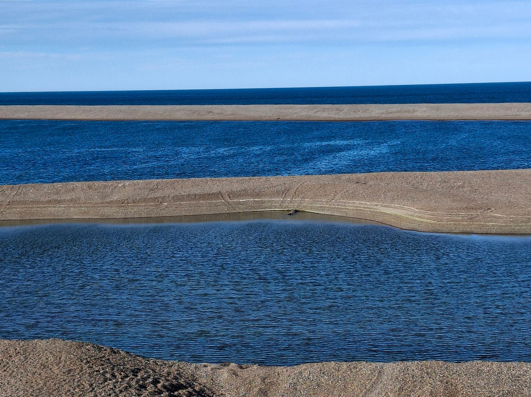 Caleta Valdes-Puerto Piramides必去景点