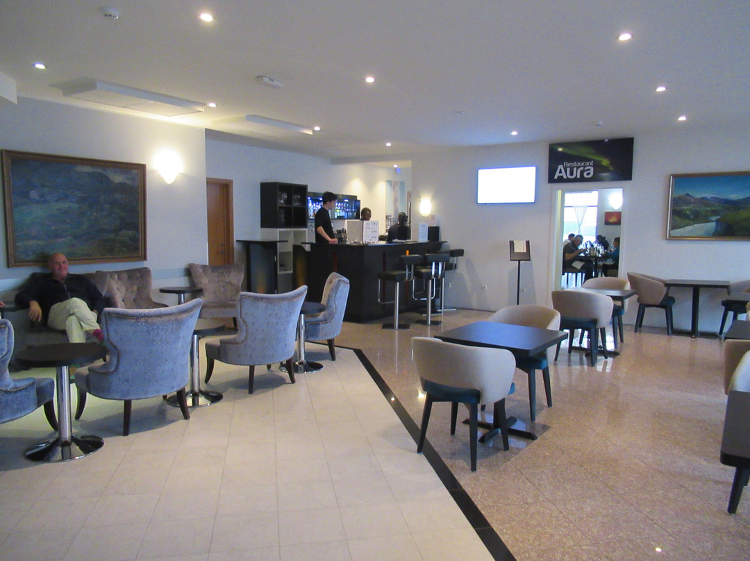 奥罗拉星机场酒店主图