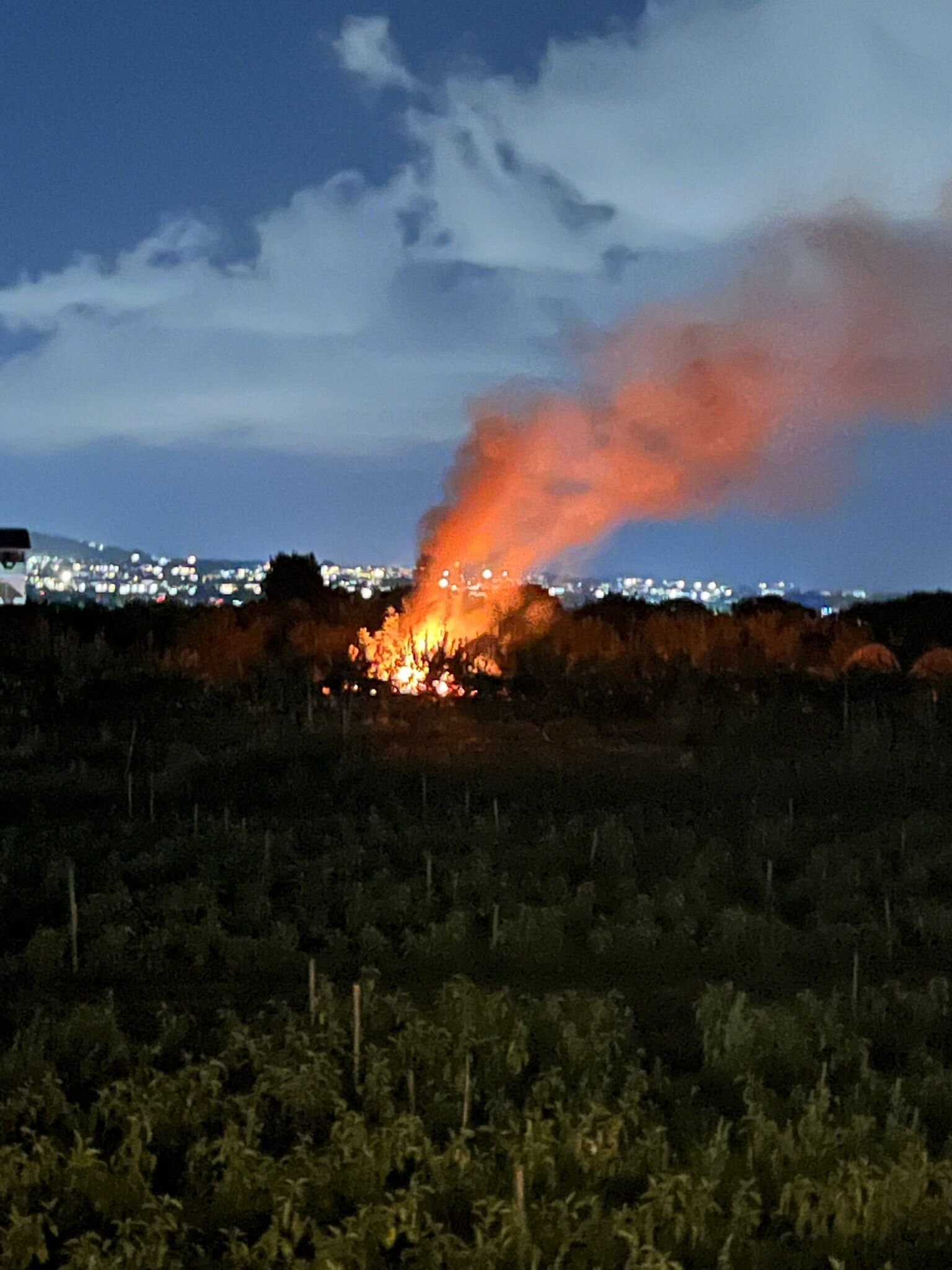 Hotel Tempio-酒店景观