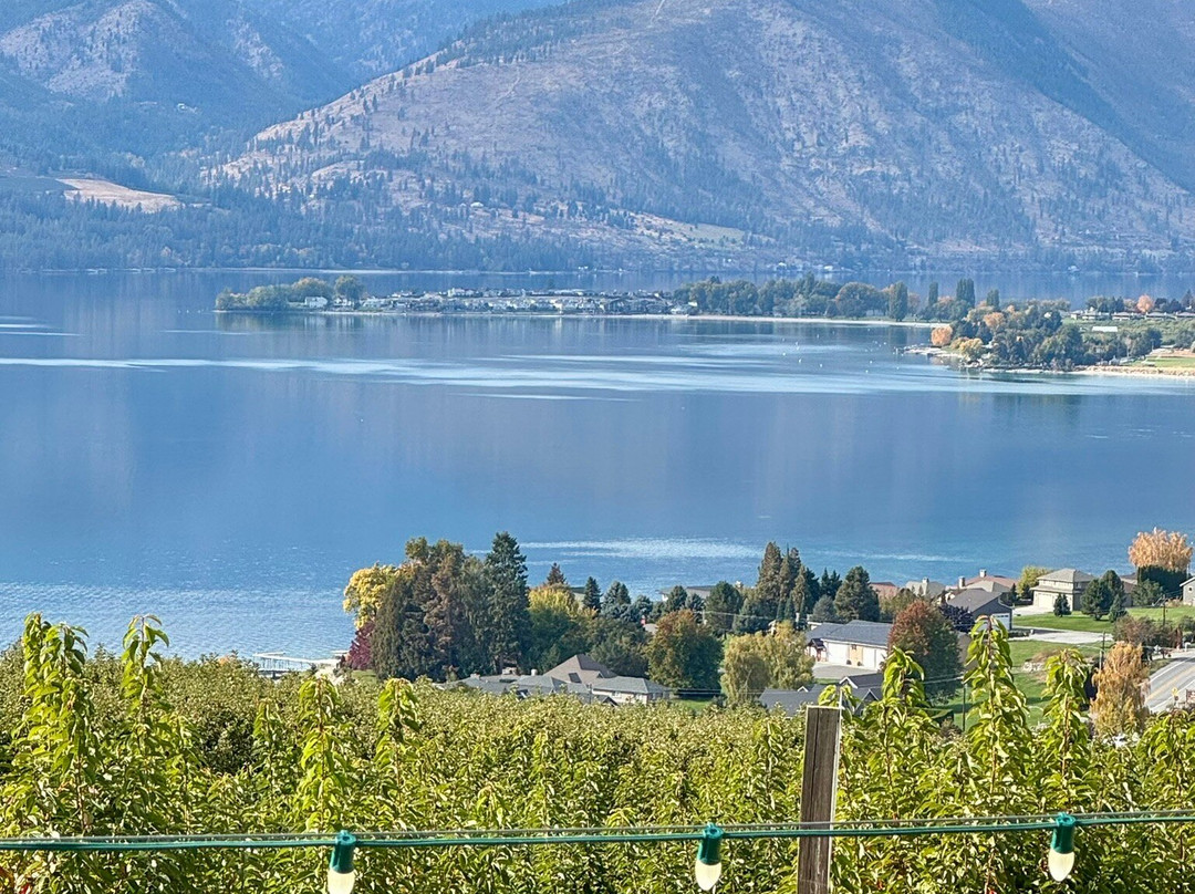 Silver Bell Winery-Manson必去景点