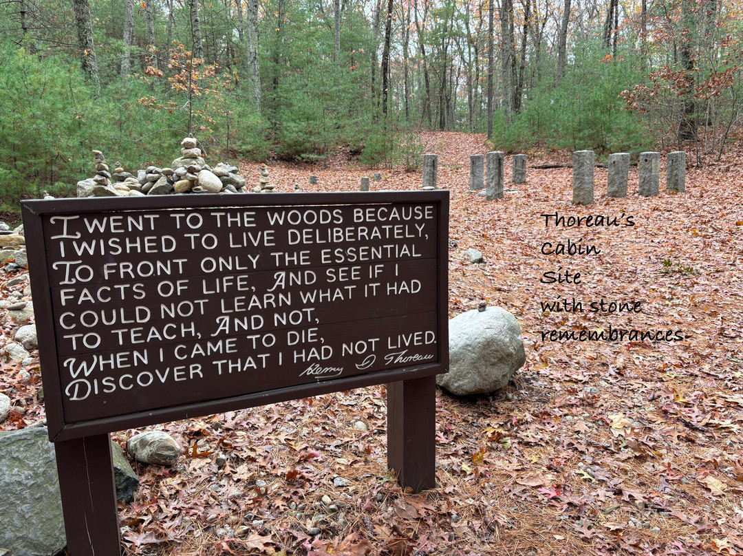 Thoreau House-康科德必去景点