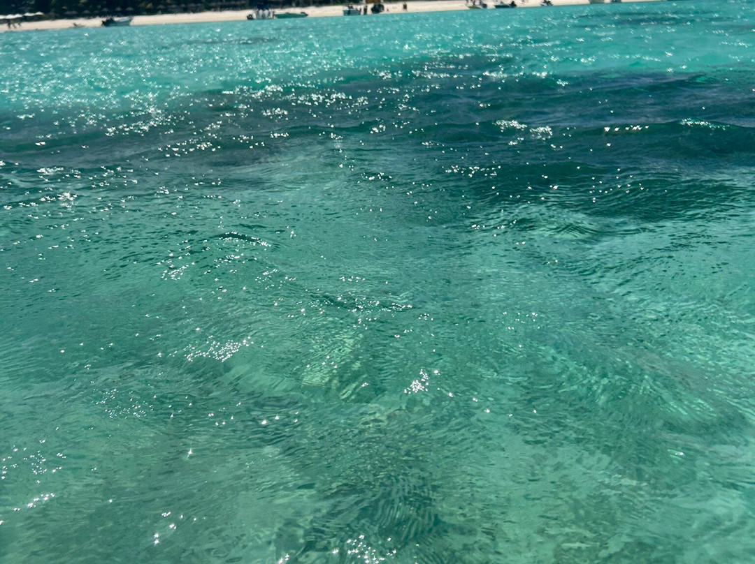 Dodo Gliders-毛里求斯必去景点