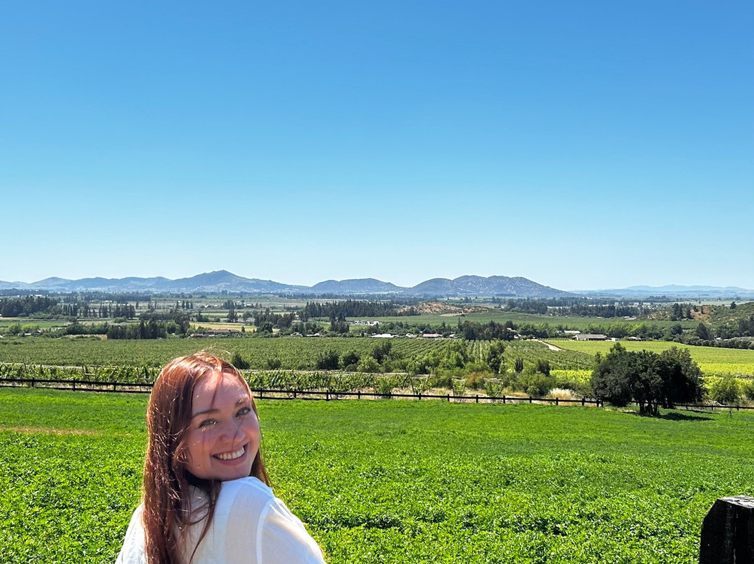 Viña Encierra-Peralillo必去景点