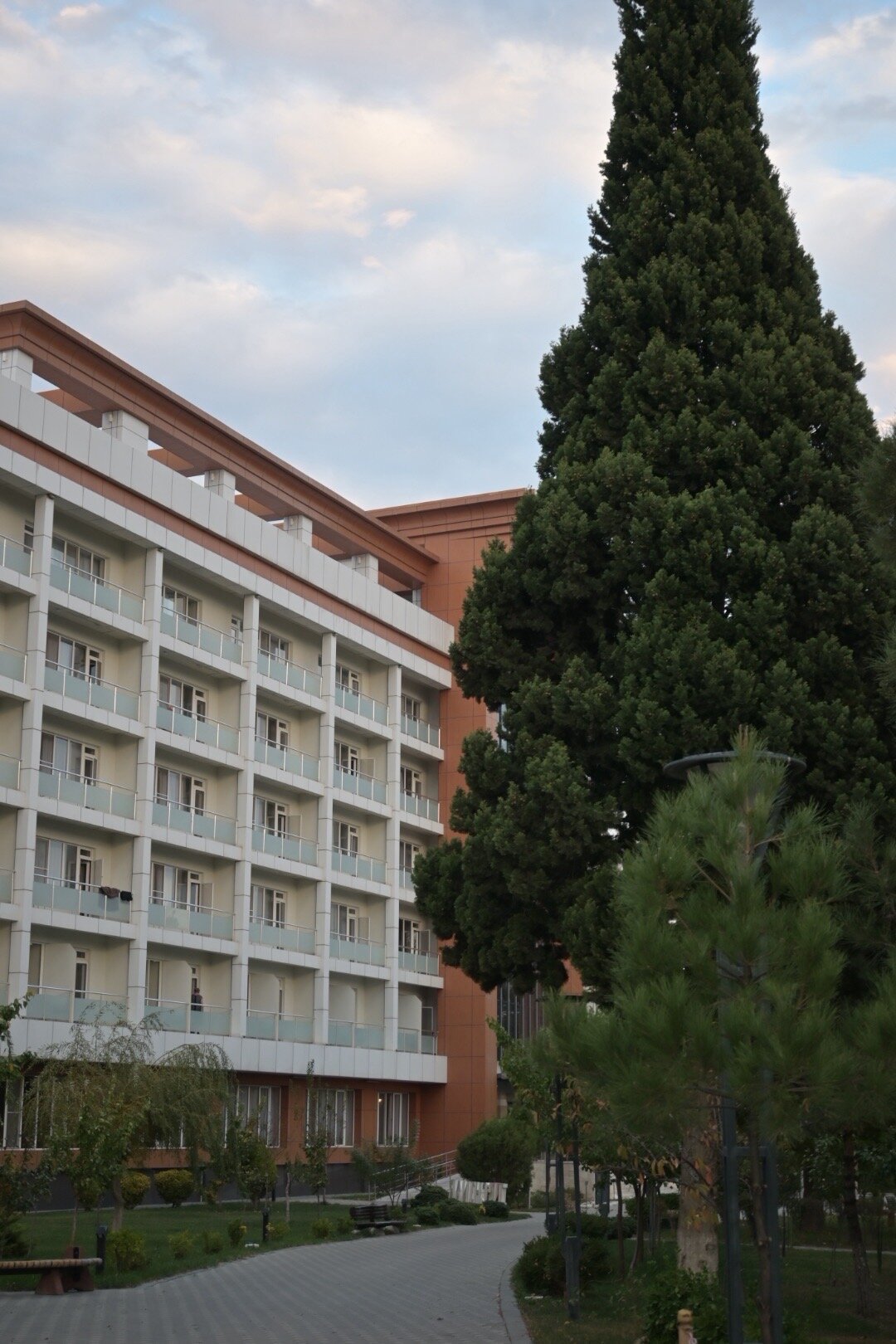 Chinar Hotel & Spa - Naftalan-官方