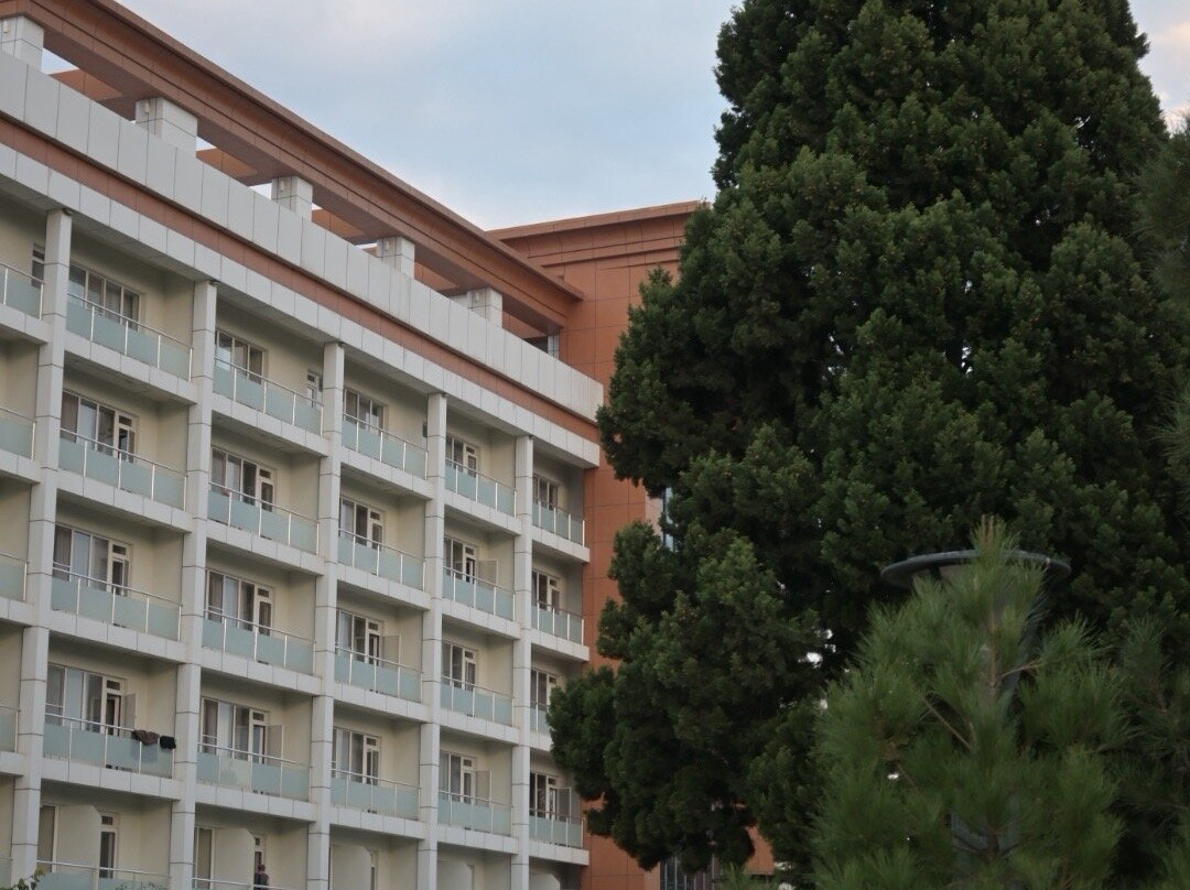 Chinar Hotel & Spa - Naftalan主图