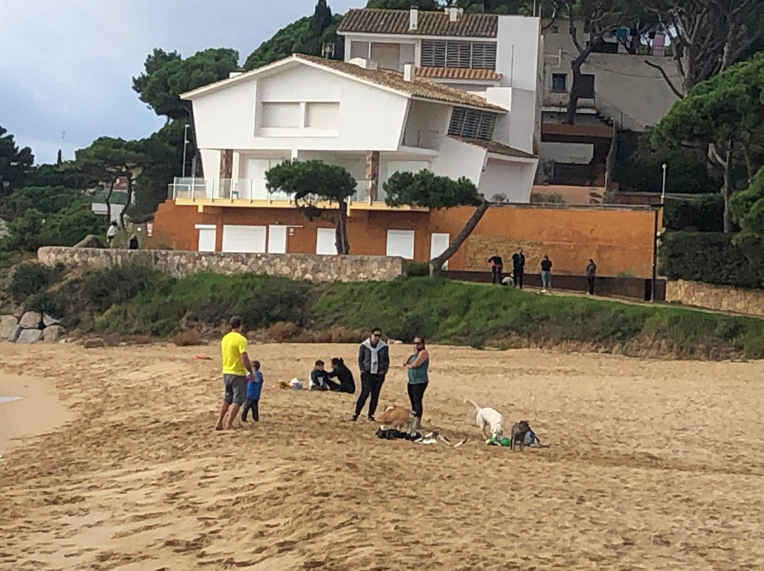 La Fosca Beach-Palamos必去景点