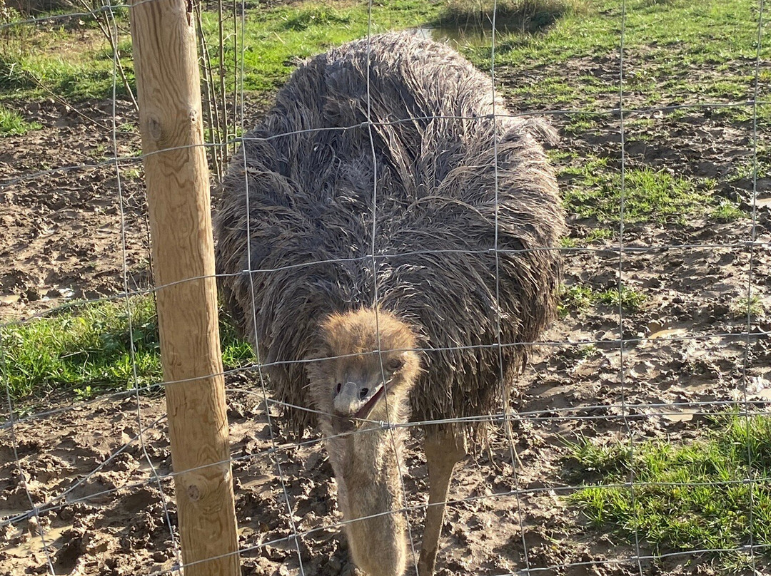 Zoo de Mescoules-Mescoules必去景点