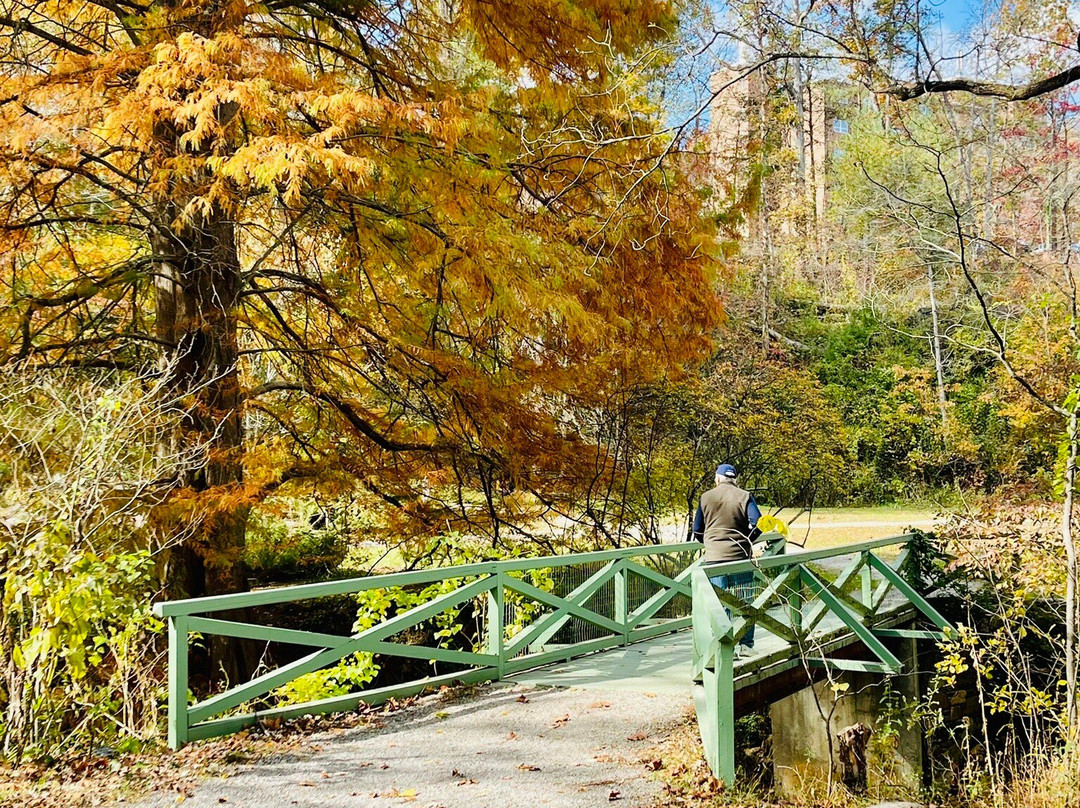 Asheville Botanical Garden-阿什维尔必去景点