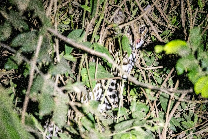 Nick's Adventures Bolivia-圣克鲁斯省必去景点