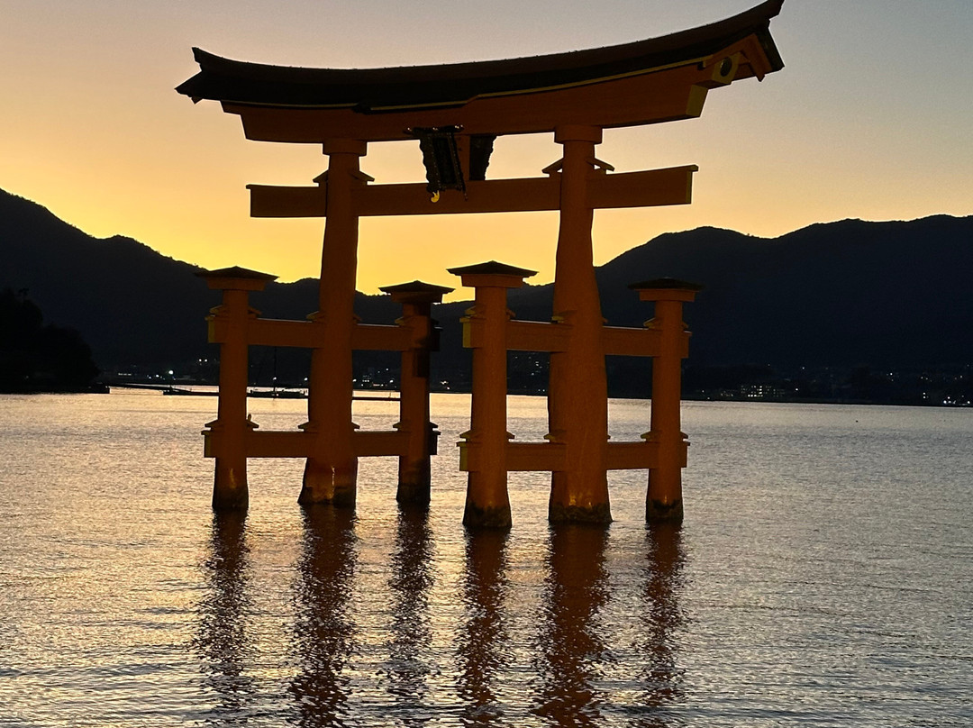 Mistral Tour-阿维尼翁必去景点