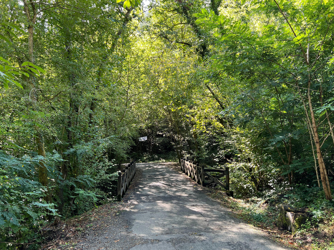 Parque Natural Fragas do Eume-Pontedeume必去景点