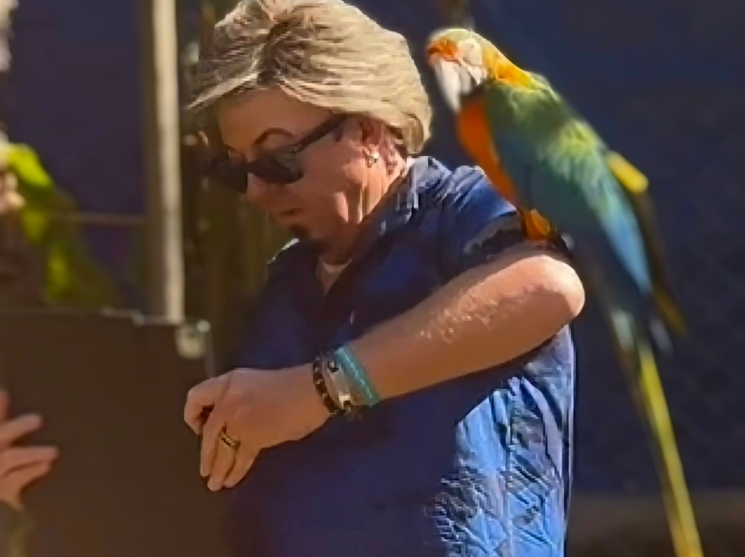 Uncle Sandy's Macaw Bird Park-彭萨科拉必去景点