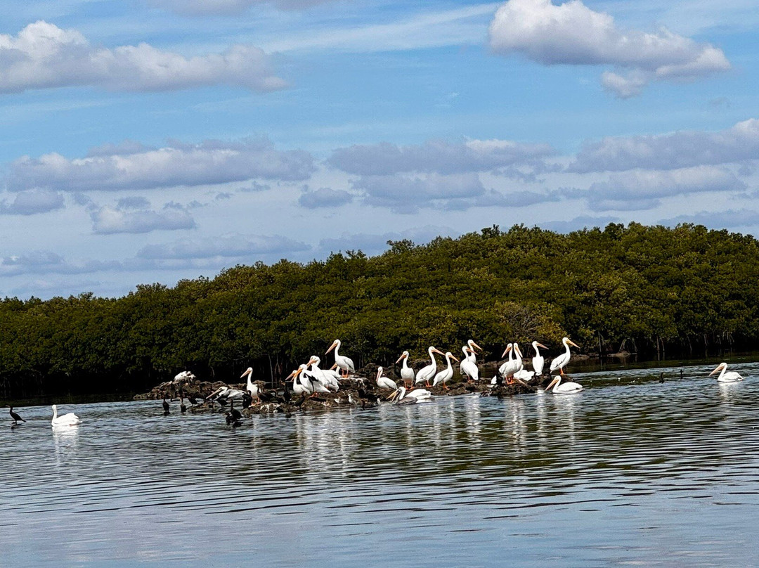 Ozello Boats-克里斯特尔里弗必去景点