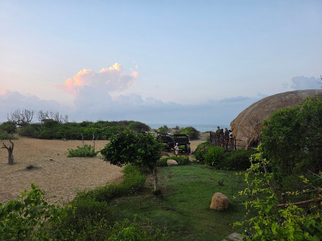 Xtreme Tours and Travels-科伦坡必去景点