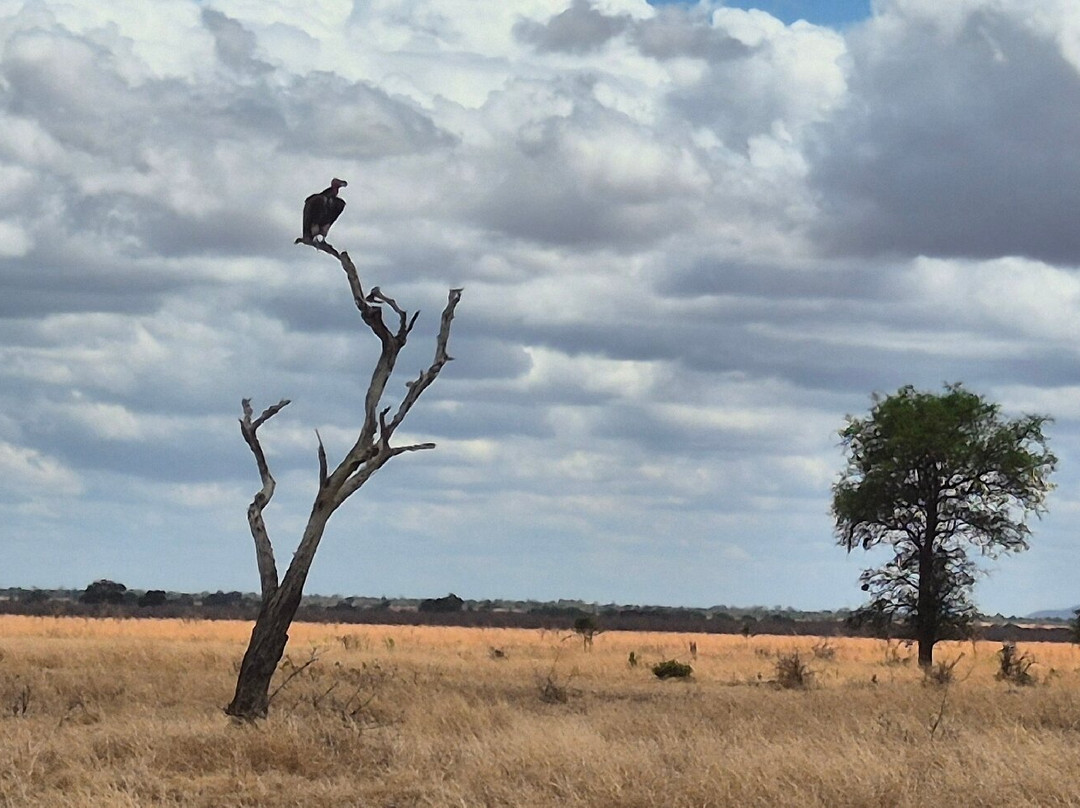 NICE ADVENTURE SAFARI-Dar es Salaam必去景点