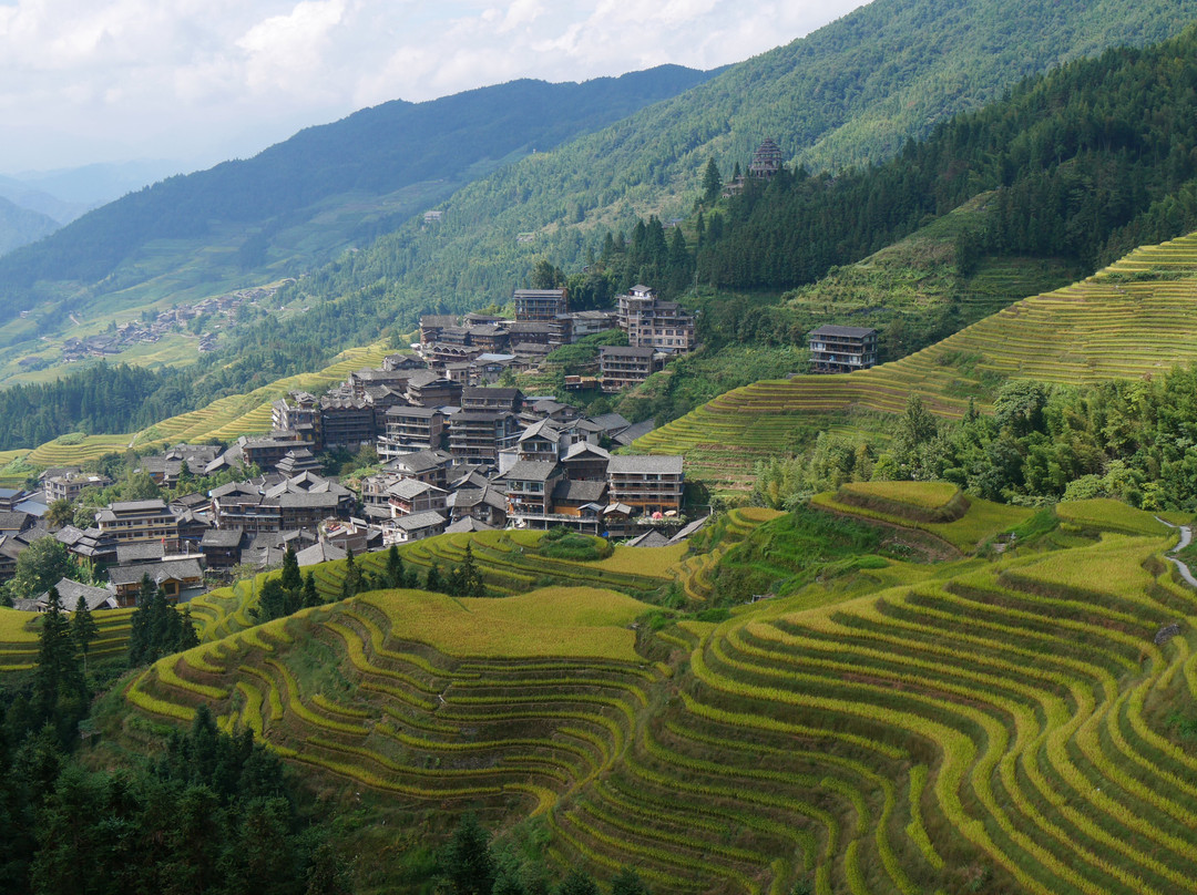 Longji Rice Terraces-桂林市必去景点