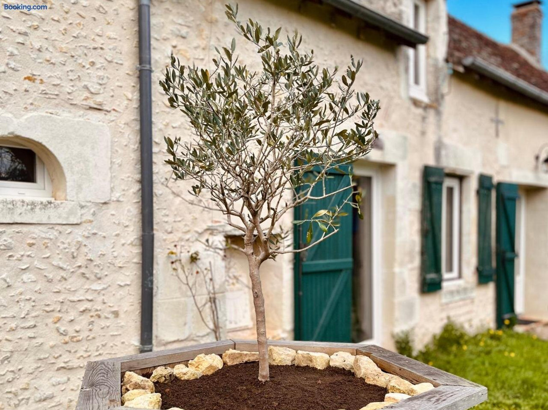 Farm de Rodeo Gites