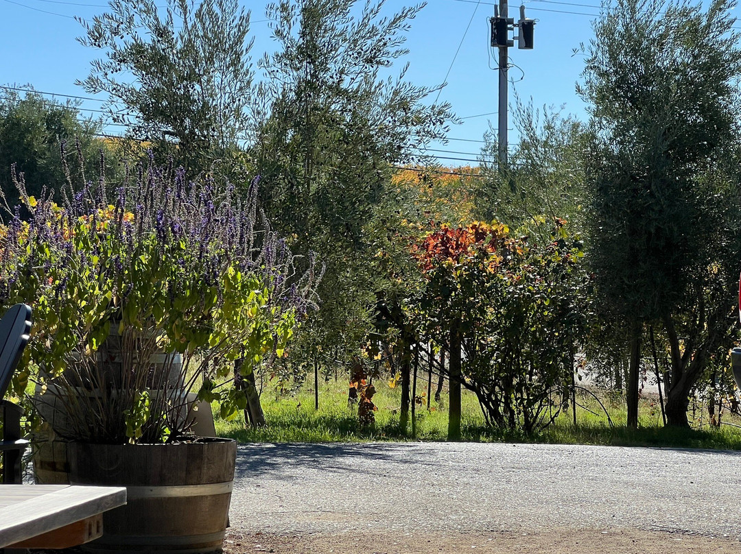 Amador Cellars-Plymouth必去景点