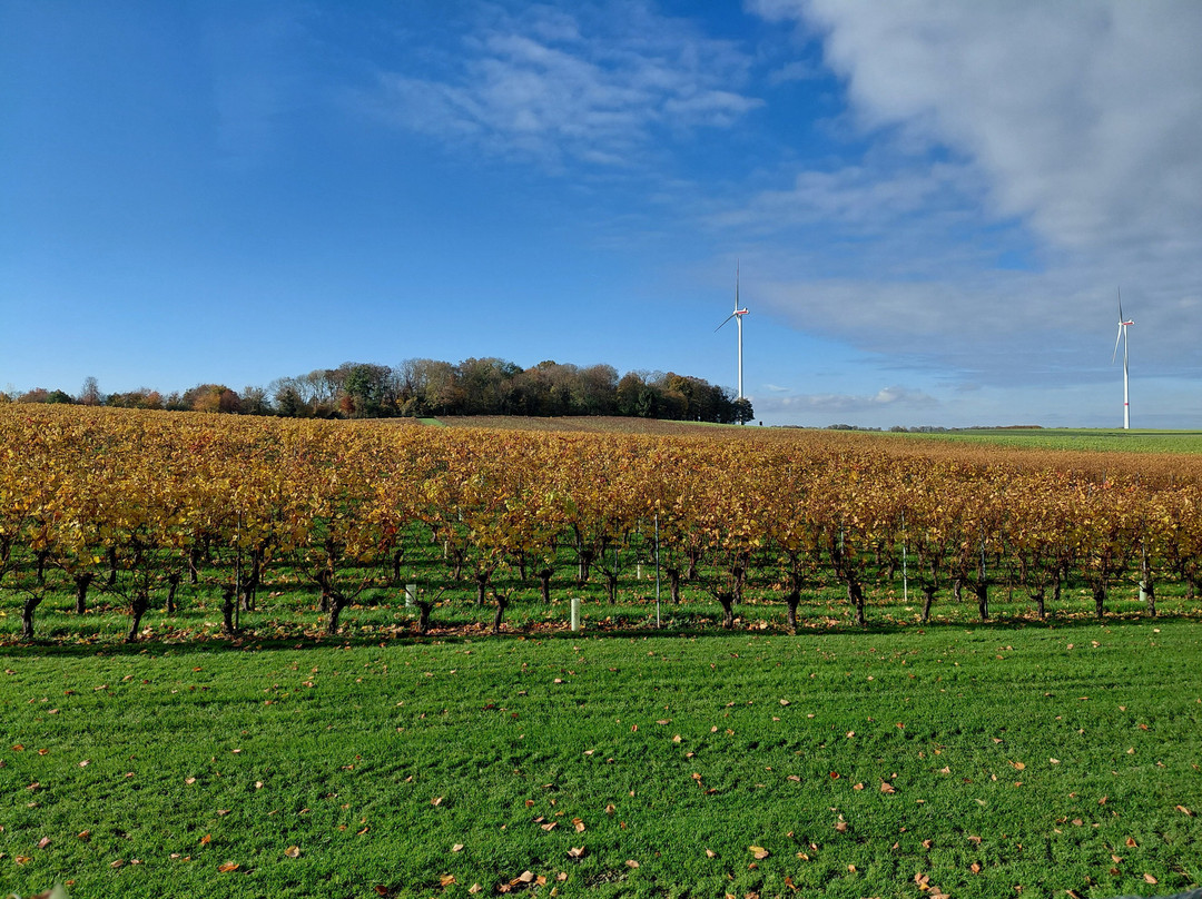 Wijnkasteel Genoels-Elderen-Riemst必去景点