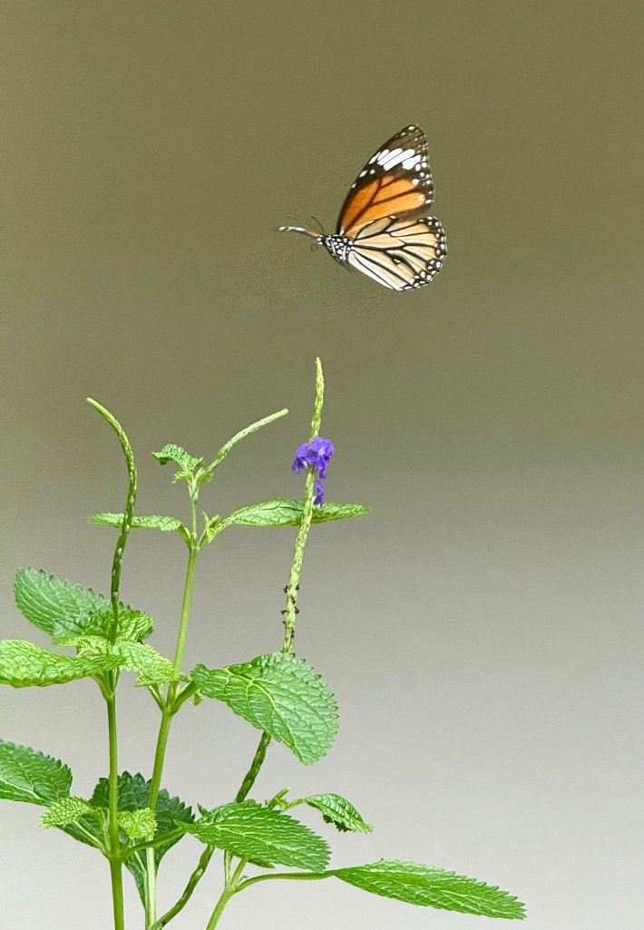 美林海滩度假村-浴室