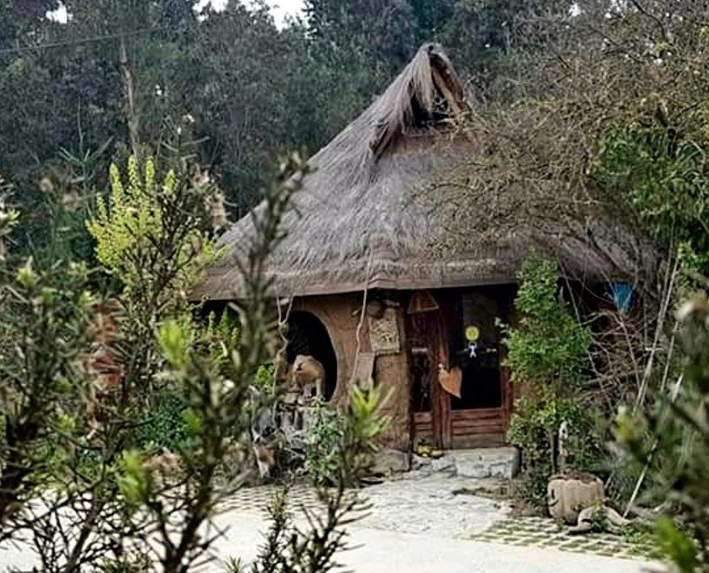 Cabañas Rukas Licantén