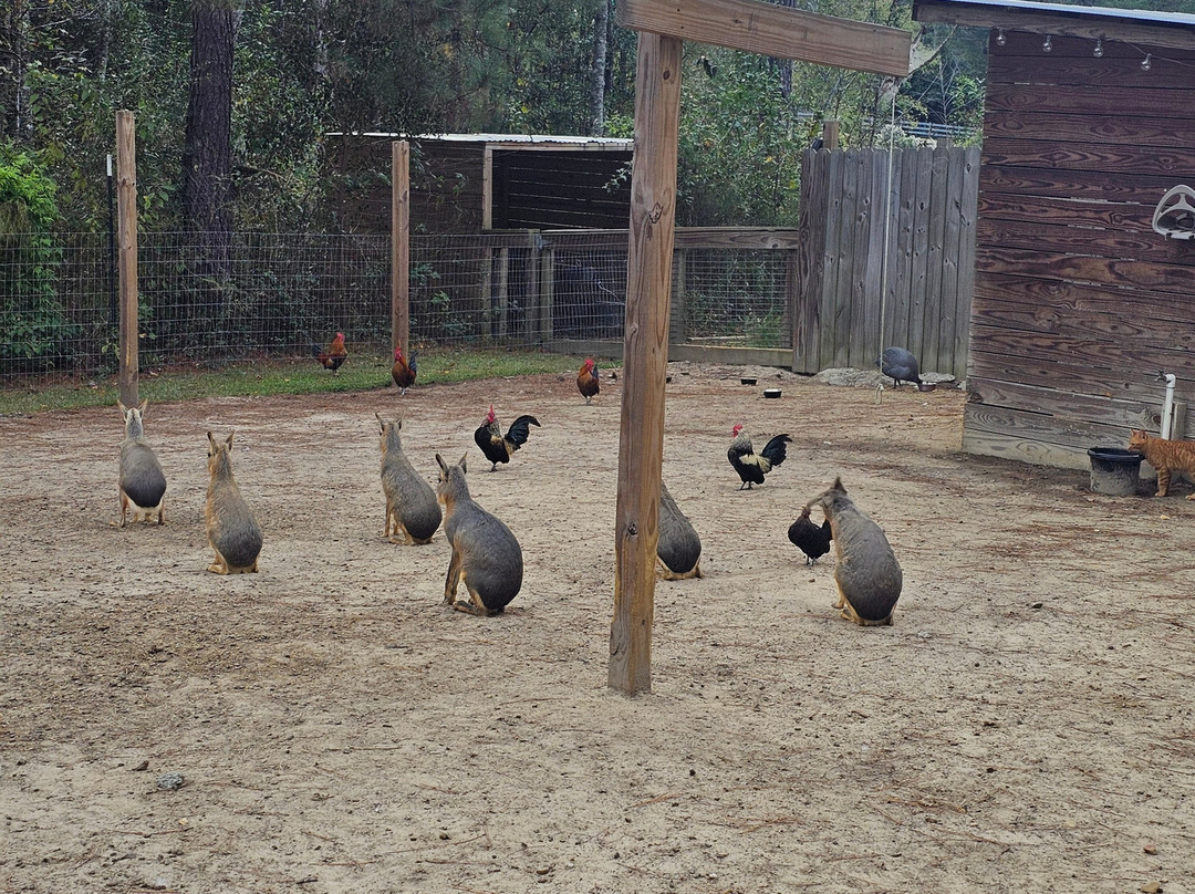 Wild Acres-McHenry必去景点