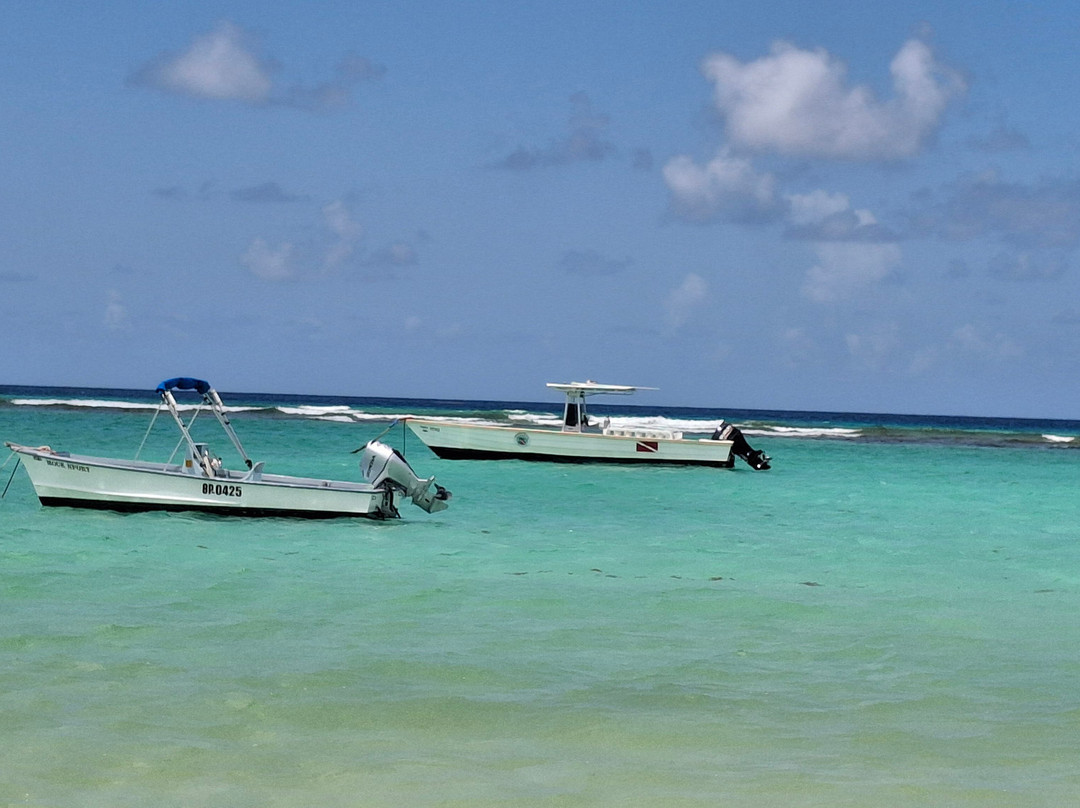 Worthing Beach-基督城必去景点