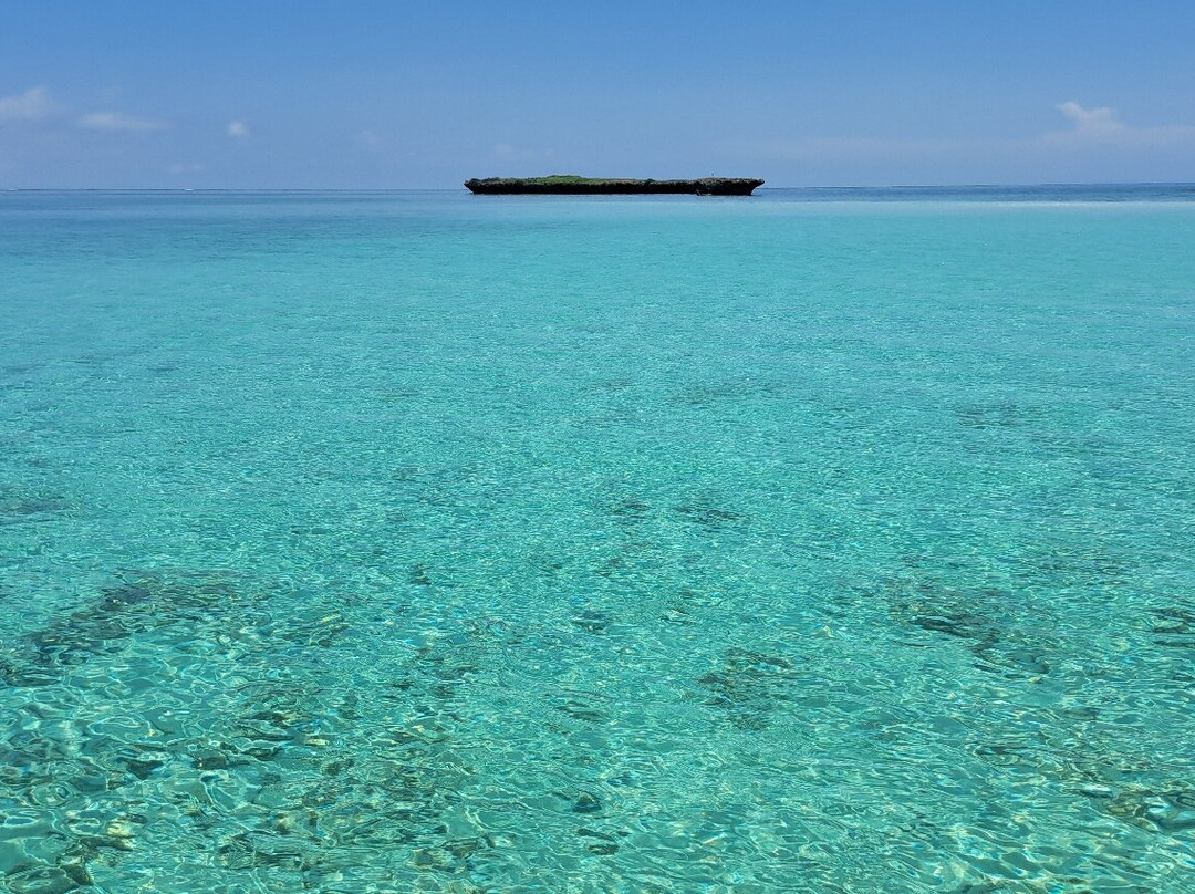 Wasini Trips-Wasini Island必去景点