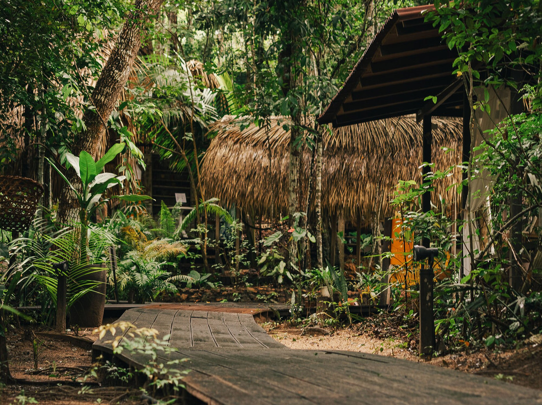 Vila de Alter Pousada Boutique Amazonia主图