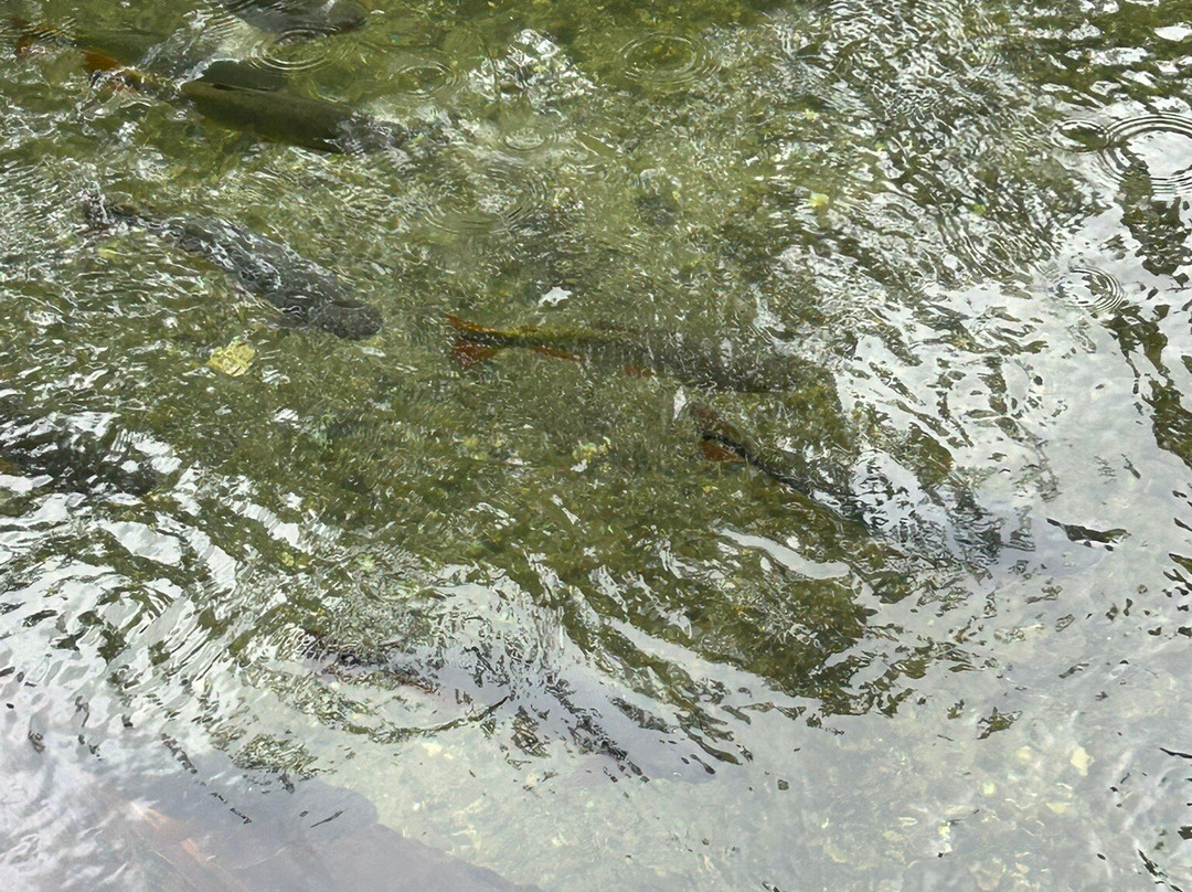 Refugio Da Barra-博尼图必去景点