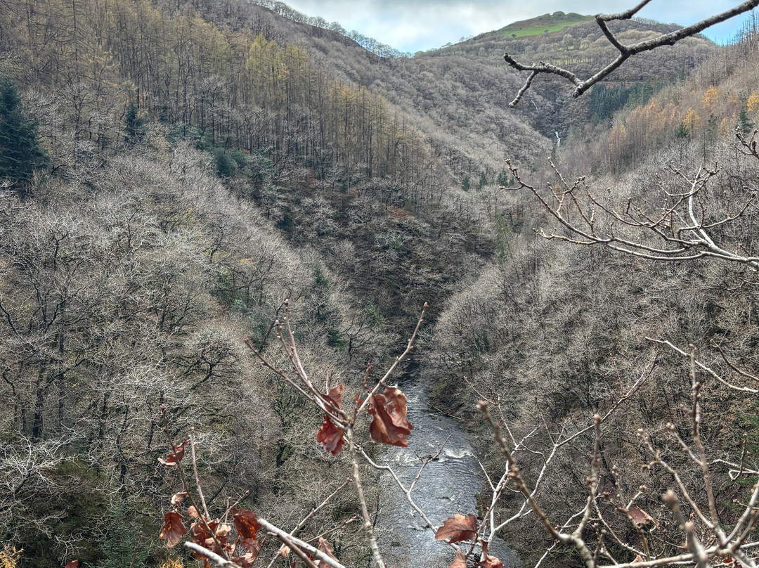 Devil's Bridge Waterfalls-Devil's Bridge (Pontarfynach)必去景点