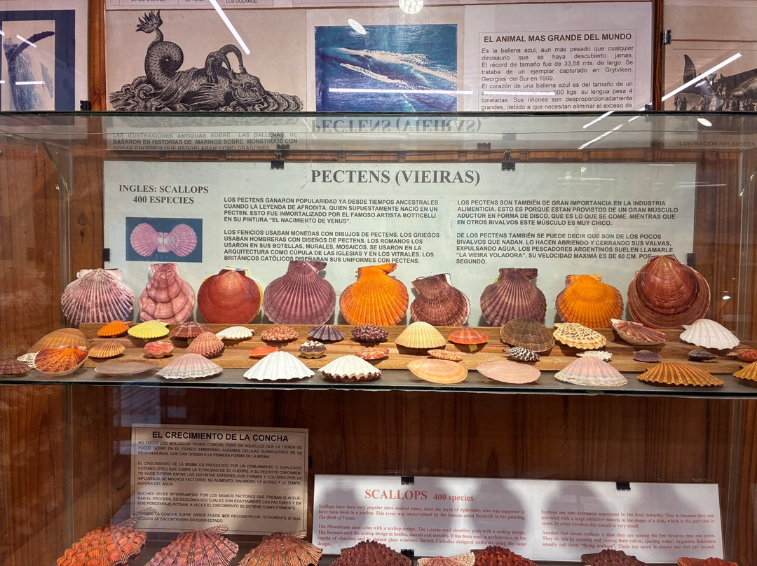 海洋博物馆-La Barra必去景点