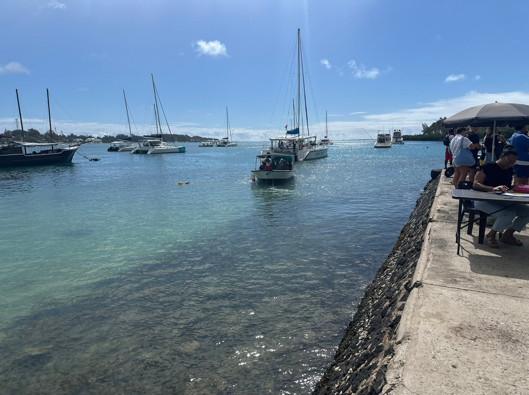 Crystal Cruiser-鹿岛必去景点