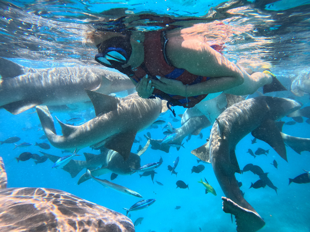 Salt Beach Tours-马富士岛必去景点