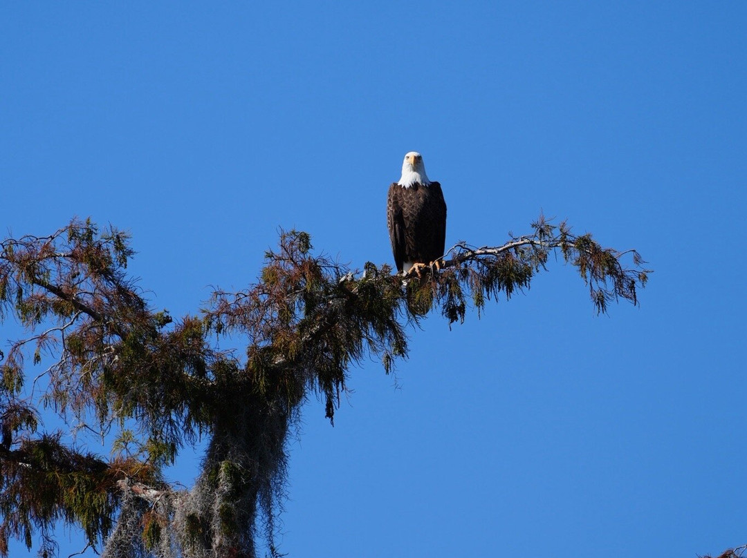 Delta Discovery Tours-Empire必去景点
