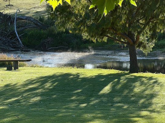 Bendemeer Hotel主图