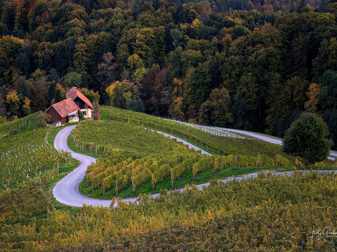 Šerbinek Winery & the Heart-Shaped Wine Road-Zgornja Kungota必去景点