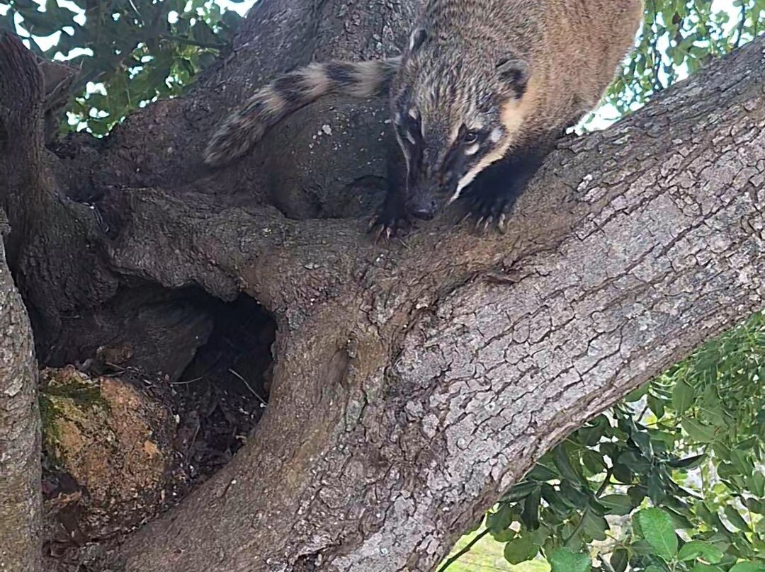 Quinta Fotoplanet Farm-阿尔布赞拉必去景点