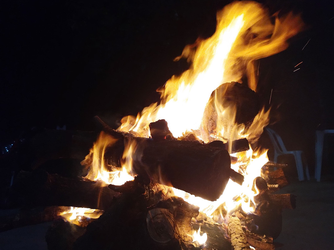 Aventura Eco Brasil-Barra de Sao Miguel必去景点