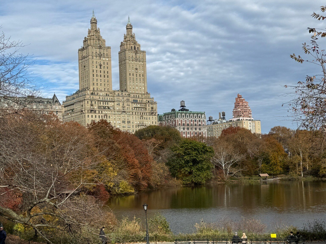 Night Your NYC Guide-纽约市必去景点